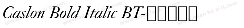 Caslon Bold Italic BT字体转换
